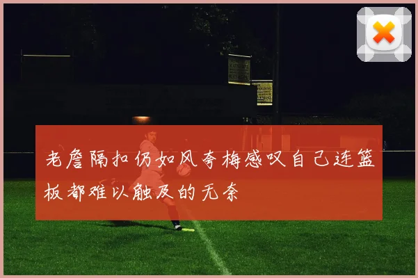 老詹隔扣仍如风夸梅感叹自己连篮板都难以触及的无奈